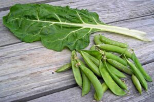 Fresh chard leaf and sugar snap pea legumes.