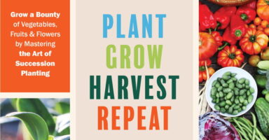 Plant Grow Harvest Repeat Book Cover