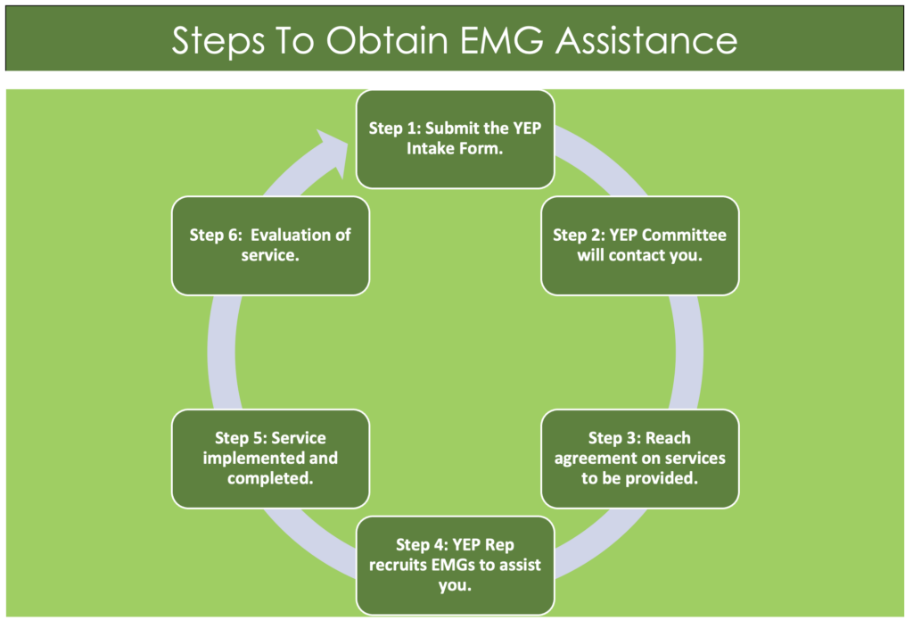 Steps to obtain EMG Assistance
