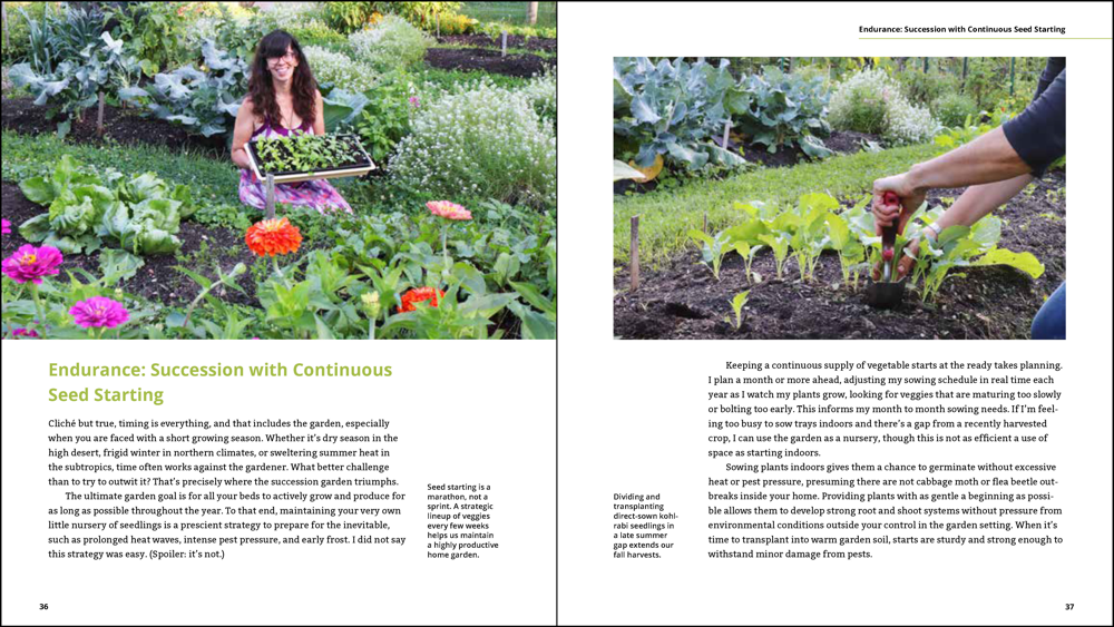 Endurance, Succession with Continuous seed starting two page spread