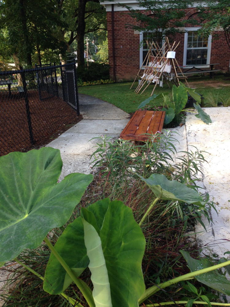 Trinity Presbyterian Preschool gardens.