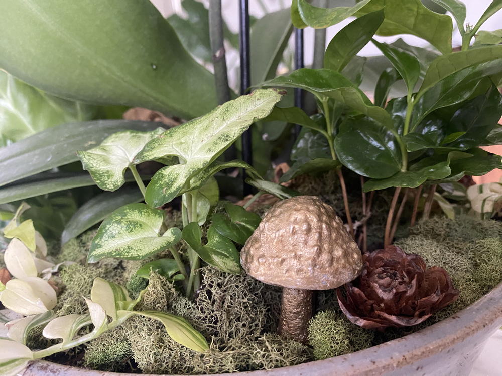 Adding store bought or foraged elements are fun additions to a living arrangement.