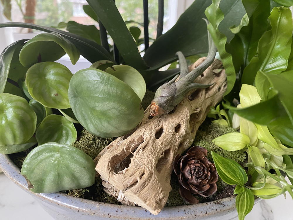Finished arrangement