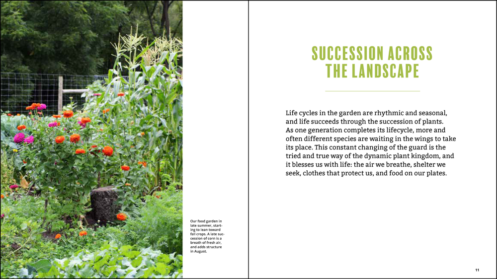 Succession