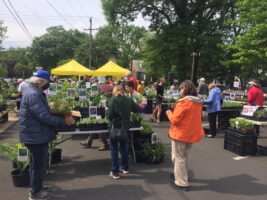 Customers buying plants at a Glencarlyn Spring Celebration