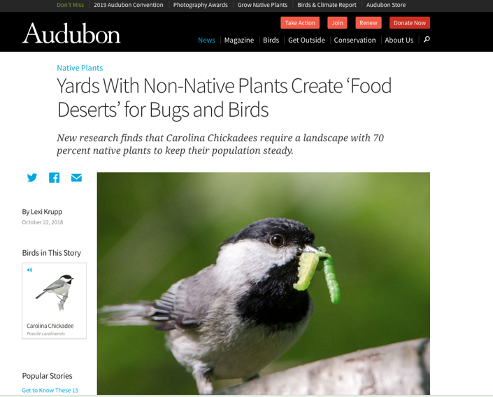 Screen shot from Audubon Society post
