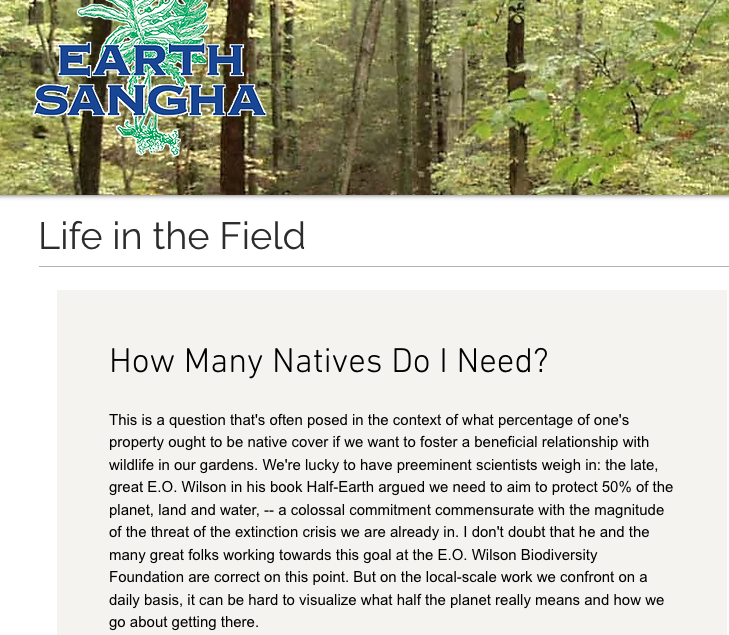 Screen shot of Matt Bright Blog post: How many Natives do I need?