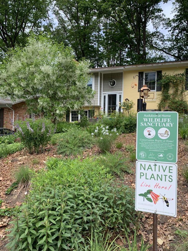 Yard with native plant signage