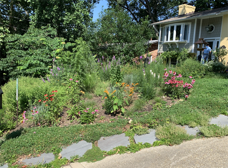 Alyssa's front yard