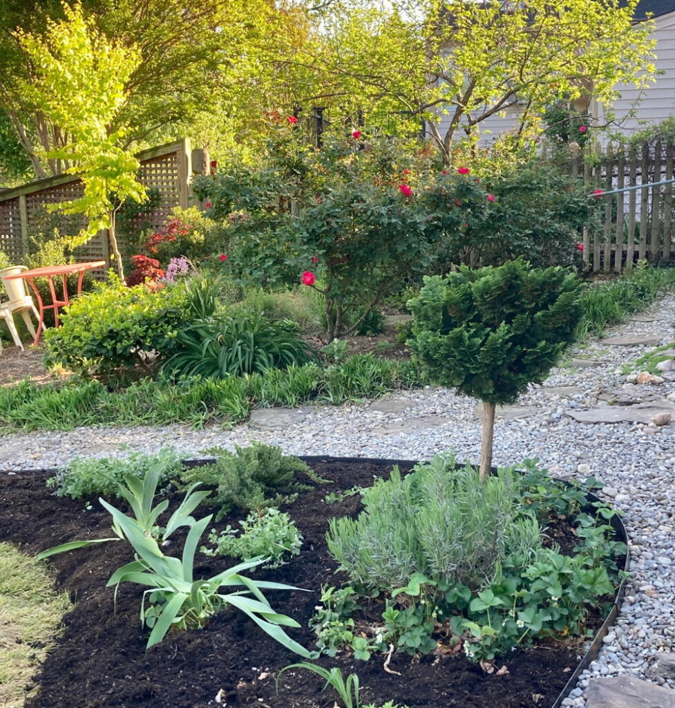 Carolyn Vincent's backyard