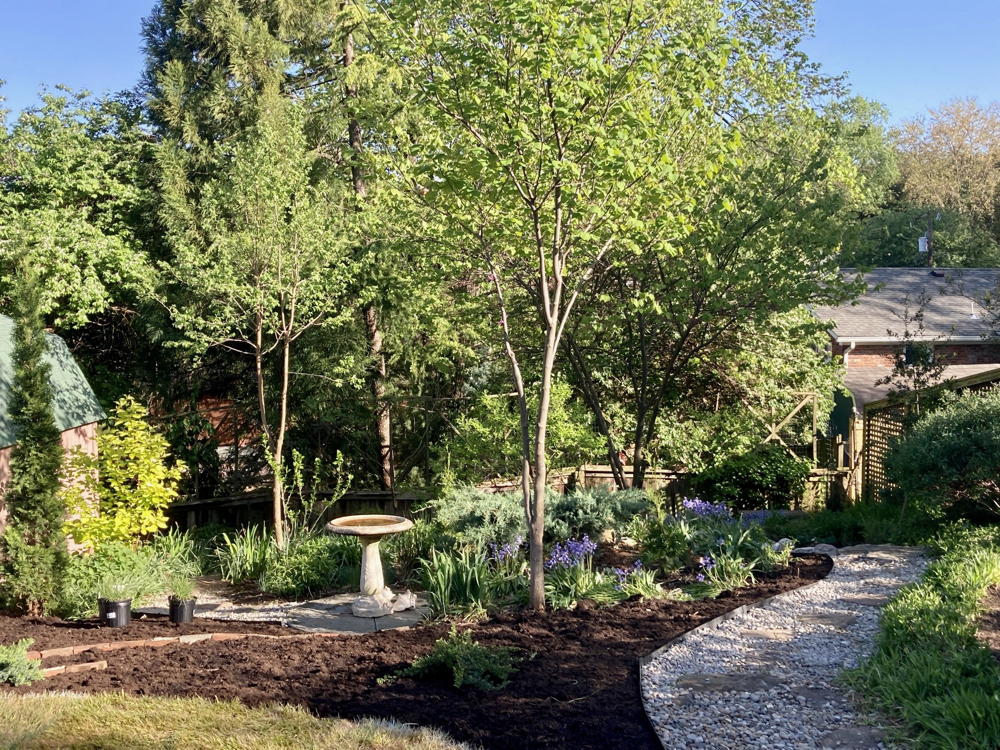 Carolyn Vincent's backyard - view with birdbath