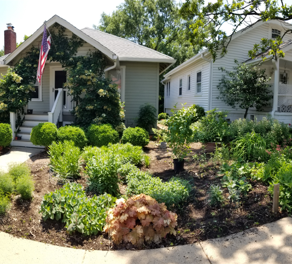 Henry & Claudia's Front Yard