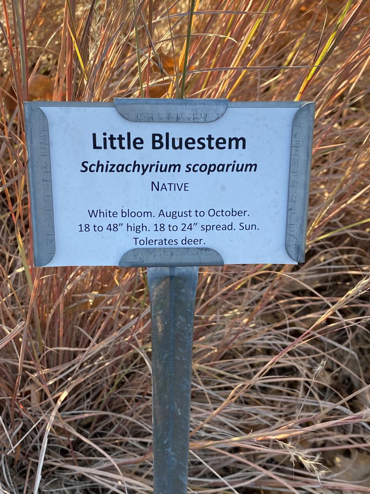 Glencarlyn Signage Little Bluestem