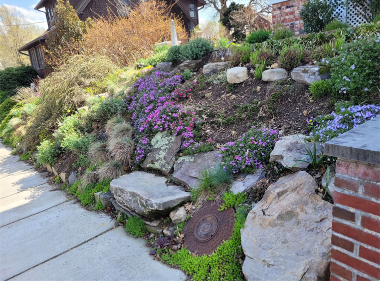 Scarlett's front garden slope