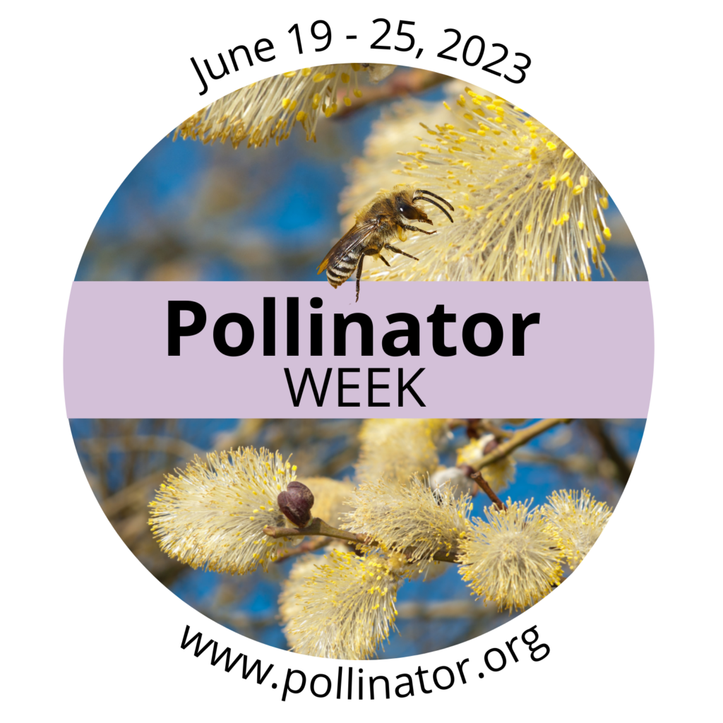 2023 Pollinator Week