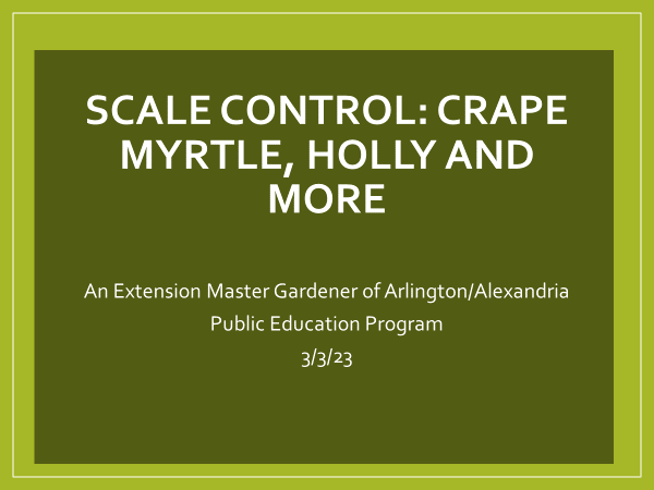 Scale Control