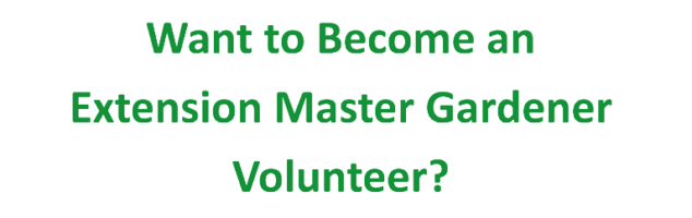 want to become an Extension Master gardener?