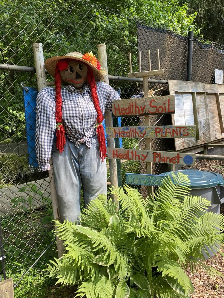 Scarecrow with signs