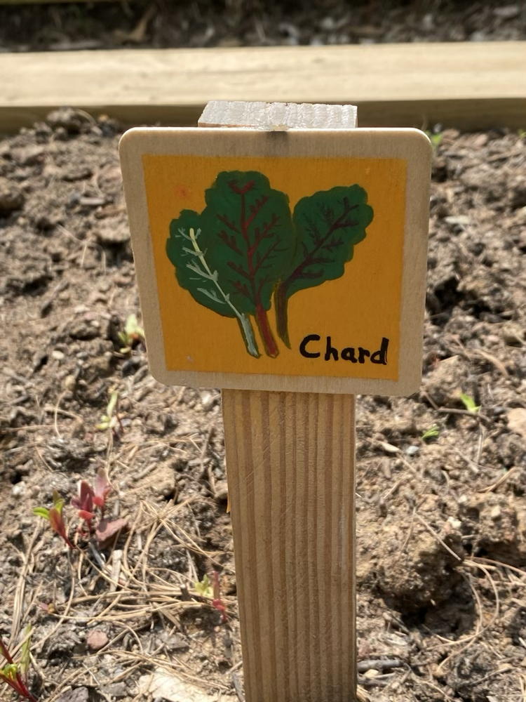 sign for chard
