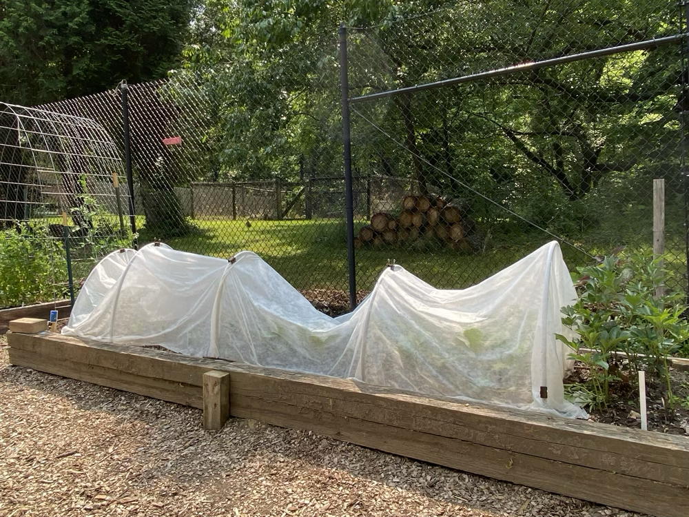Row covers
