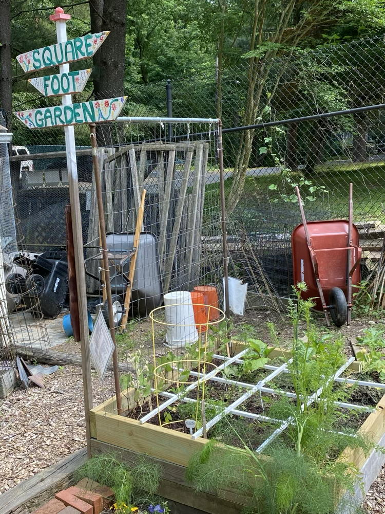 Square foot garden.