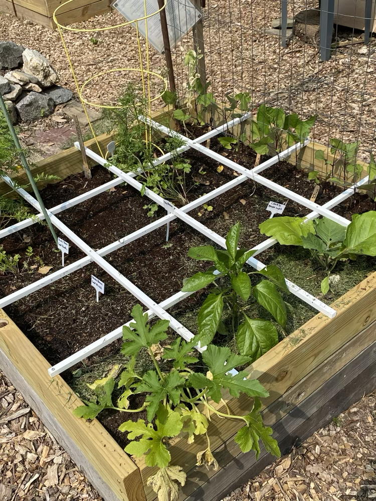 square foot garden