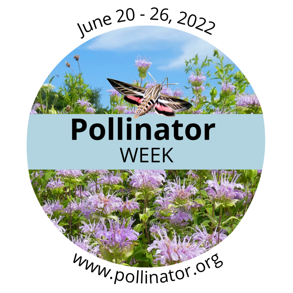 pollinator week logo 2022