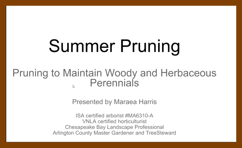 Summer Pruning title Slide