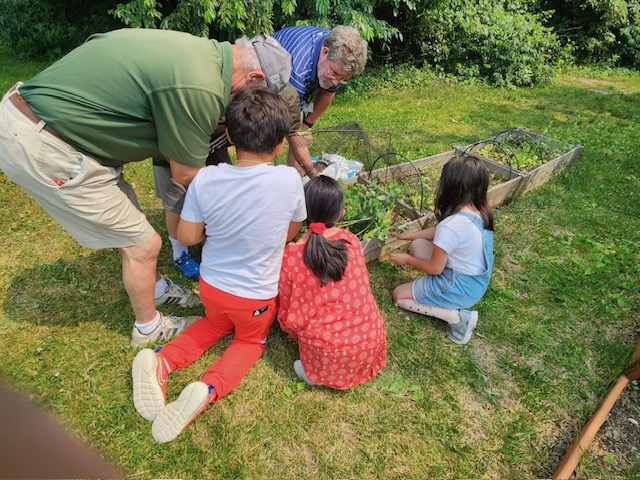 children and adults harvesting greens