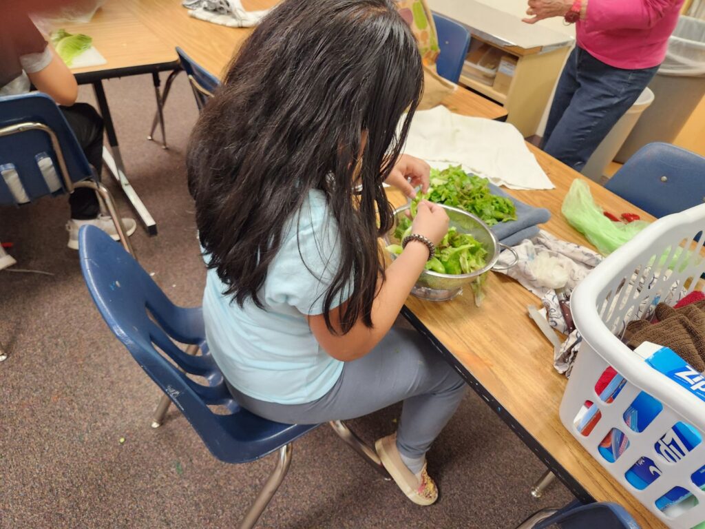 girl cleaning lettuce