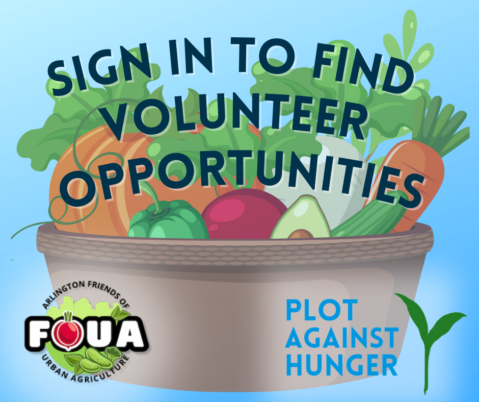 Sign in to find volunteer opportunities