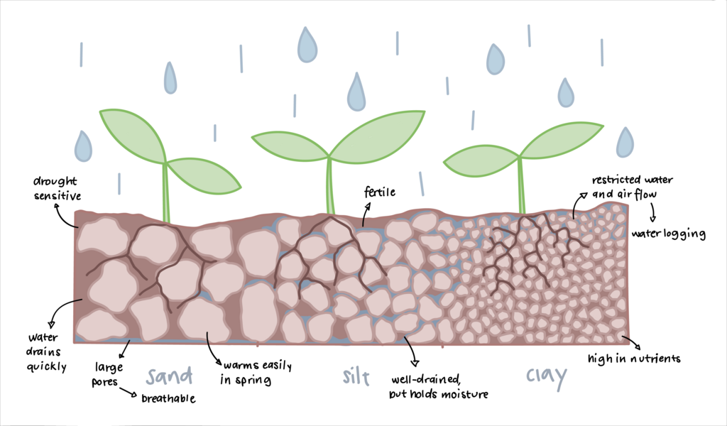 Diagram of soil textures. Image © Kaerii CC BY-SA 4.0