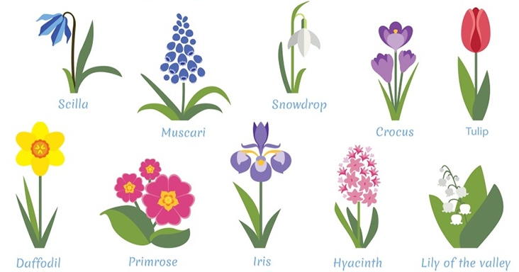 spring flowers with names