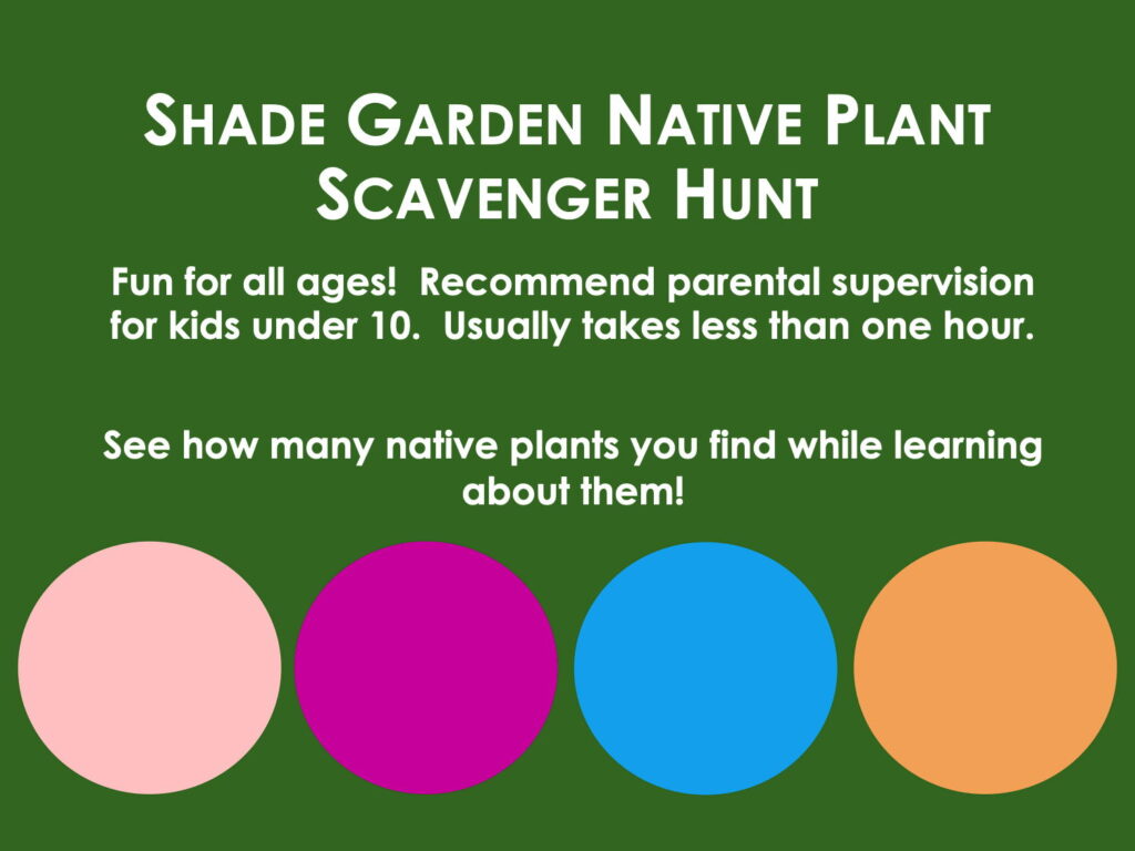 Shade Garden at Bon Air Park Native Plant Scavenger Hunt