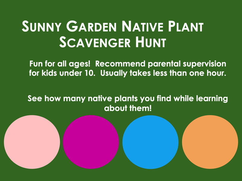 Sunny Garden at Bon Air Park Native Plant Scavenger Hunt
