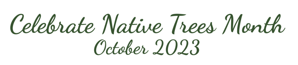 Celebrate Native Trees Month October 2023