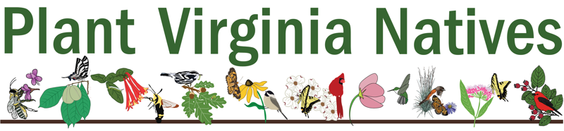 Plant Virginia Natives