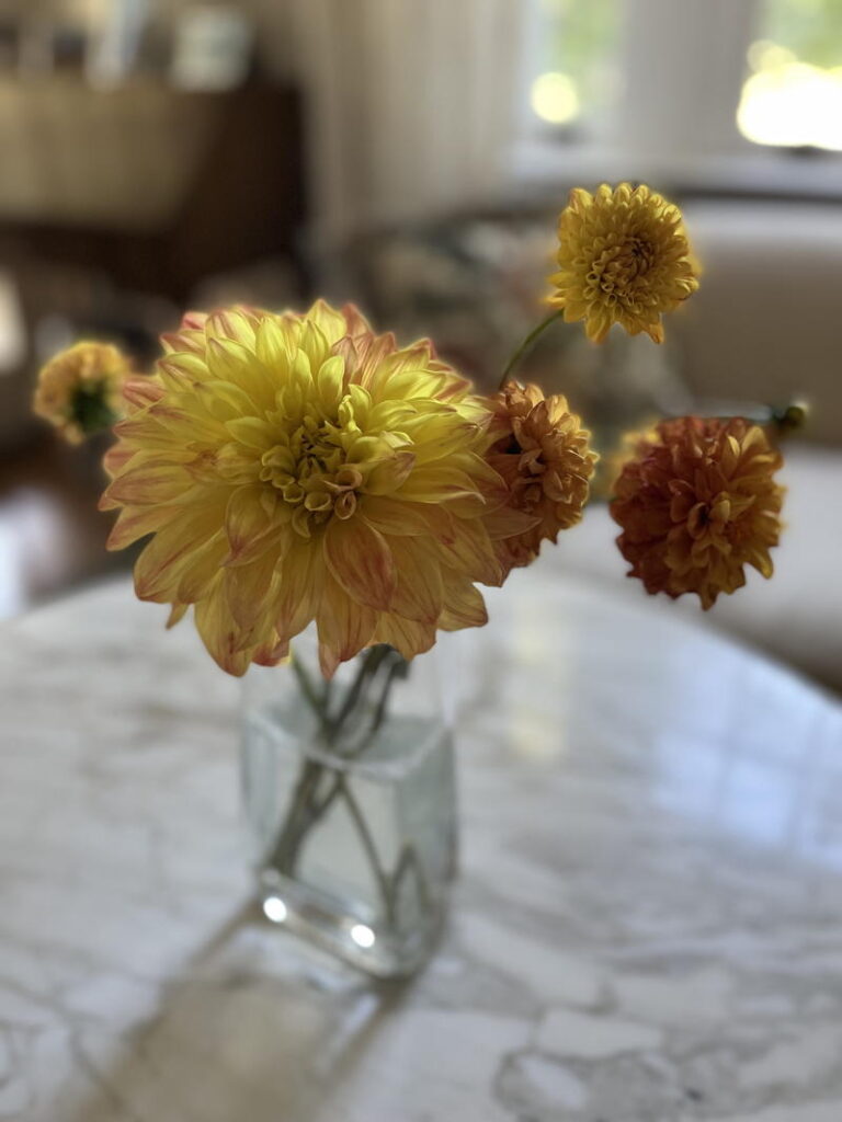 flowers in vase