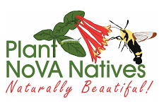 Plant NoVa Natives Logo
