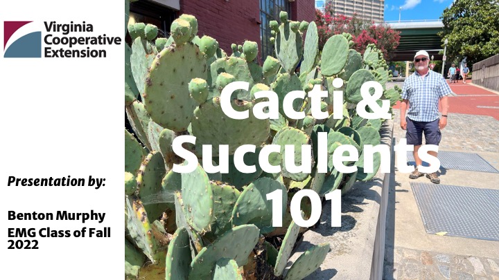 Succulents and Cacti cover slide