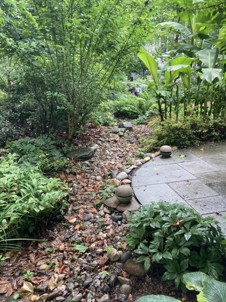 Dry creek bed linking three neighboring properties.