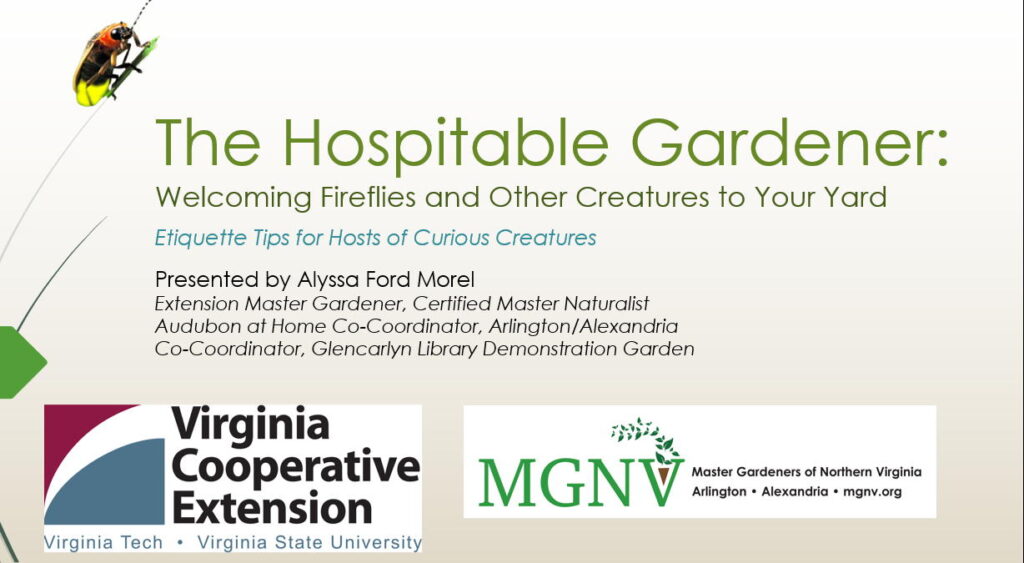 Welcoming Fire Flies and other creatures
