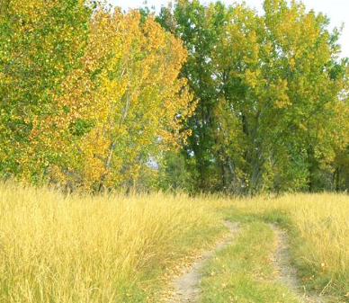 early fall color