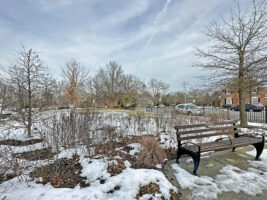 Native plants provide fruit and seeds for wildlife and seasonal interest in a snowy Tribute Garden in January. Perennial stems will be cut back in early spring.