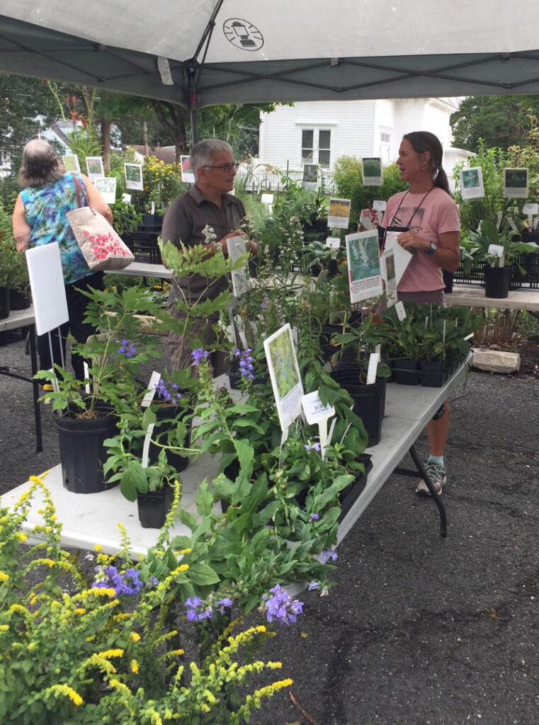 People shopping outdoors for native plants