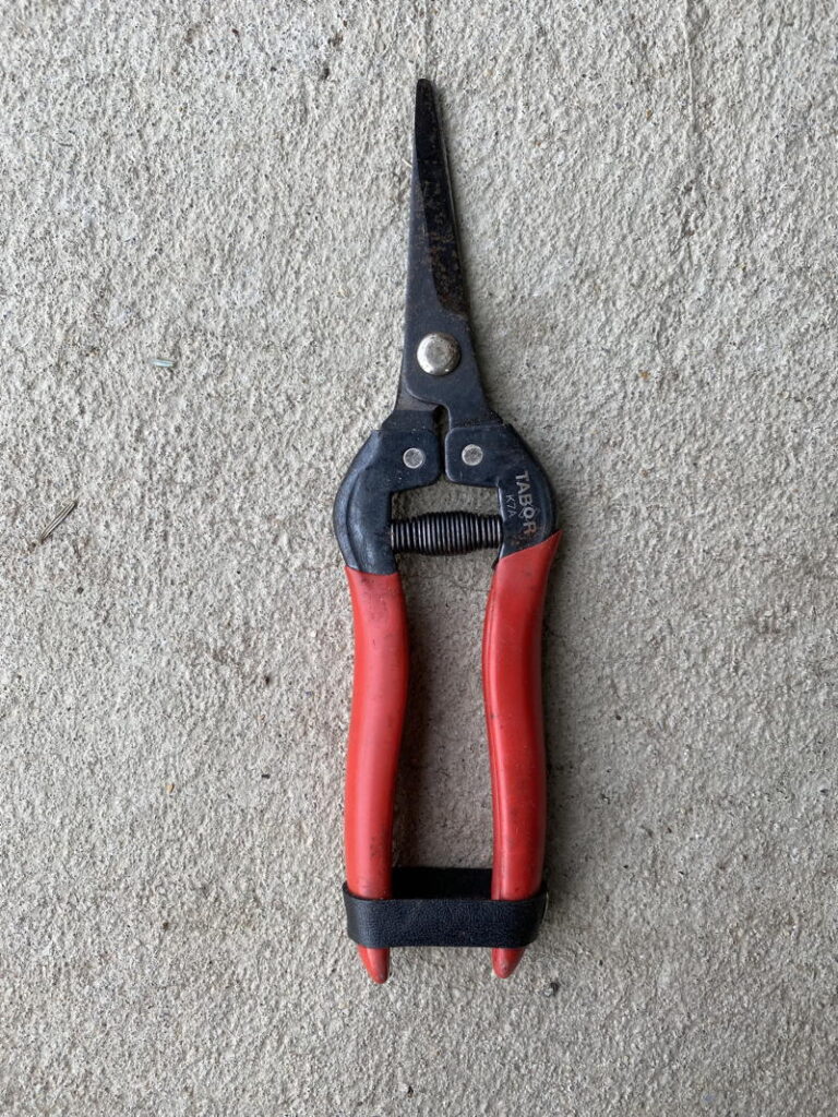garden scissors
