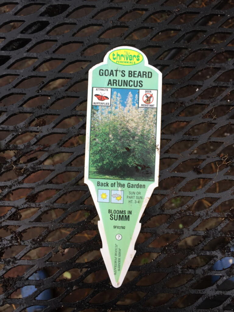 Plant Tag with Common Name