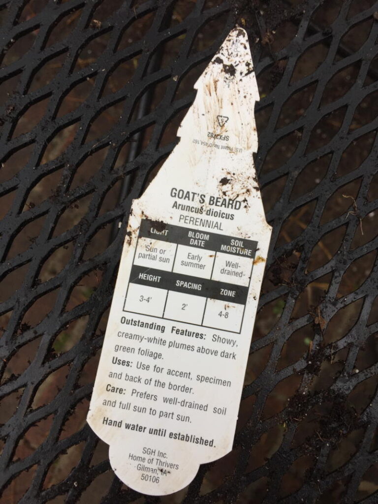 Plant Tag with Scientific Name