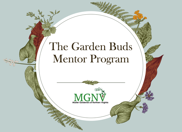 Graphic for 'The Garden Buds Mentor Program' featuring decorative illustrations of plants and flowers, with 'MGNV' logo at the bottom.