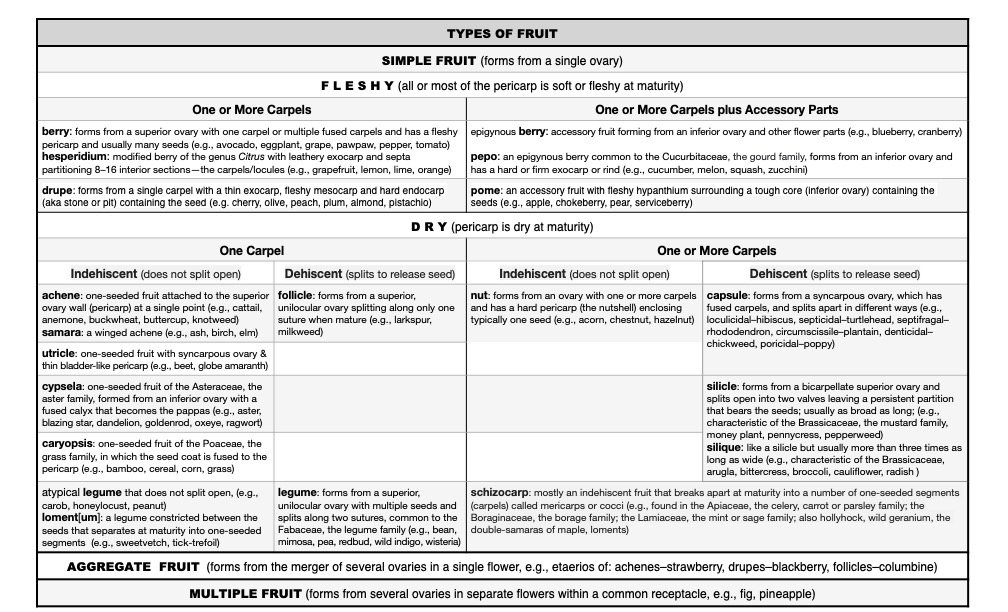 Table of fruit types